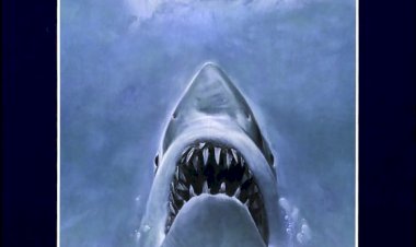 Steven Spielberg’ün“Jaws” (1975) Filmi Üzerine