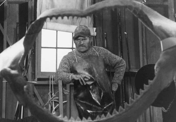 Steven Spielberg’ün“Jaws” (1975) Filmi Üzerine